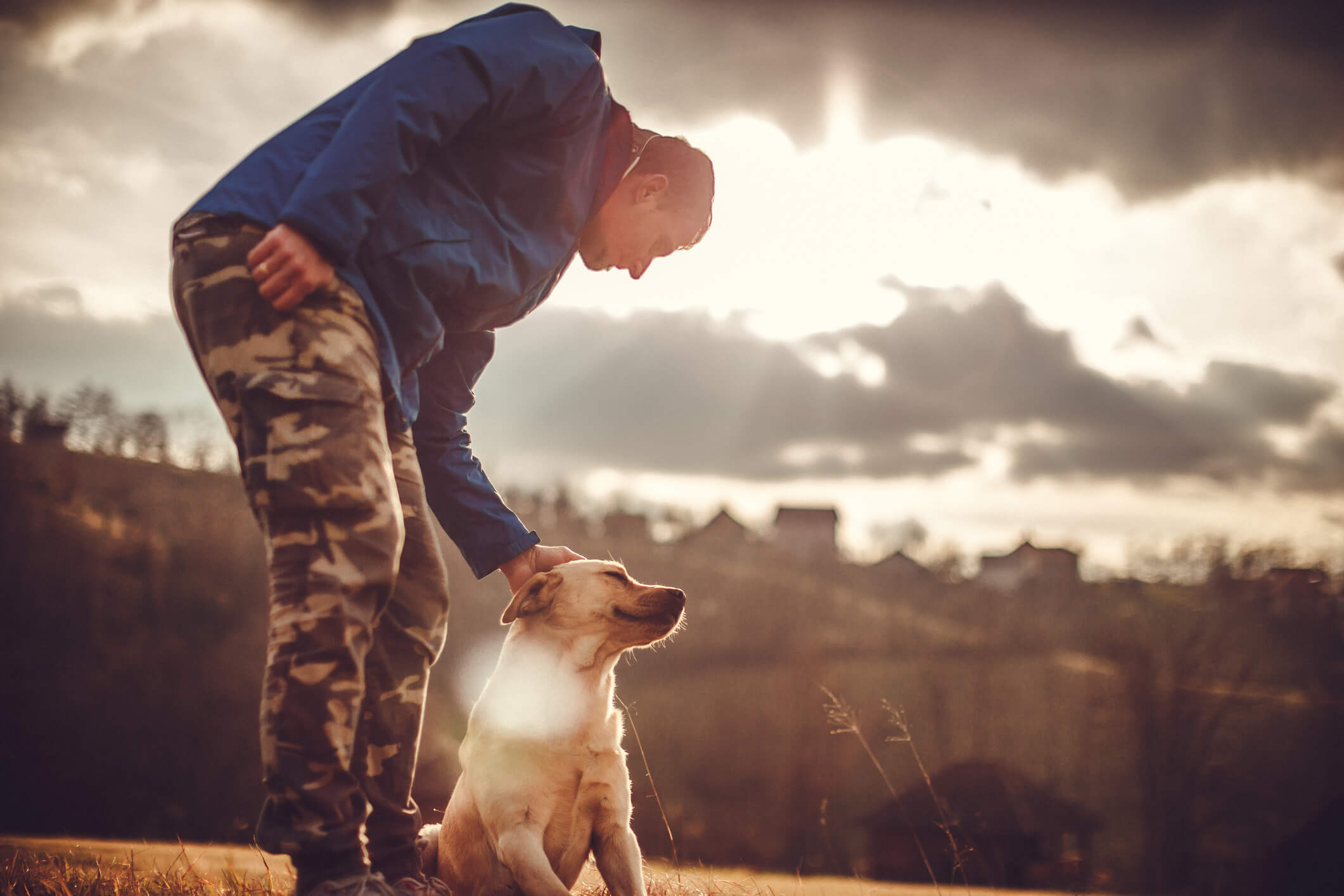 The dog getting pets from the pet parent.