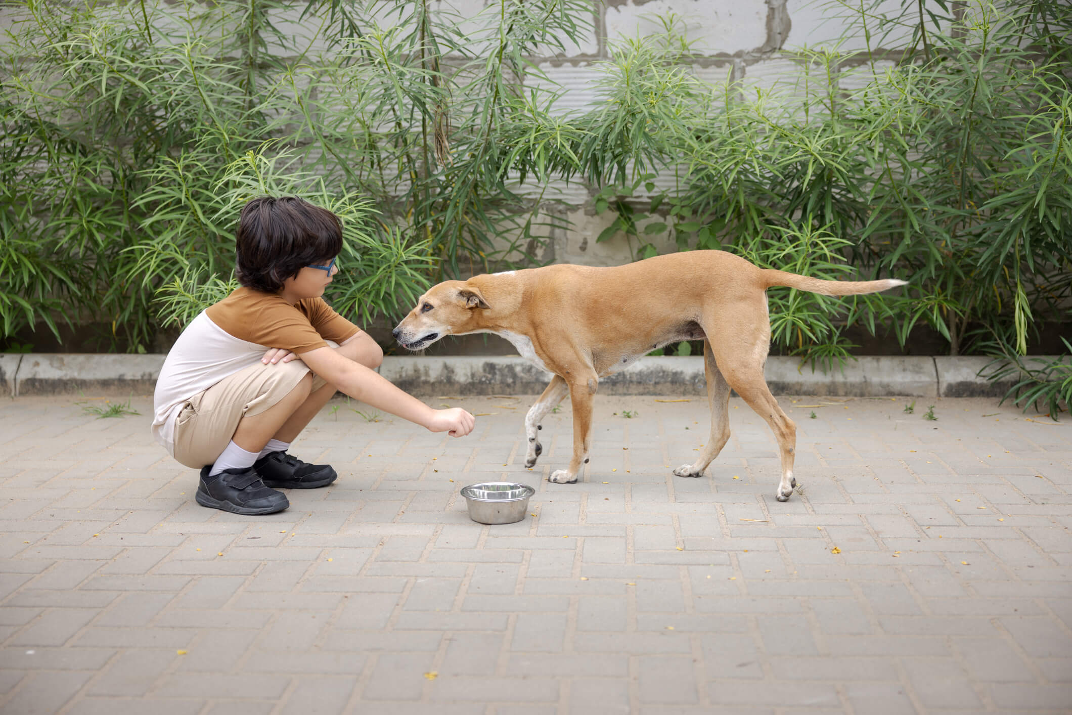 A child with a dog and a food bowl for the dog.
