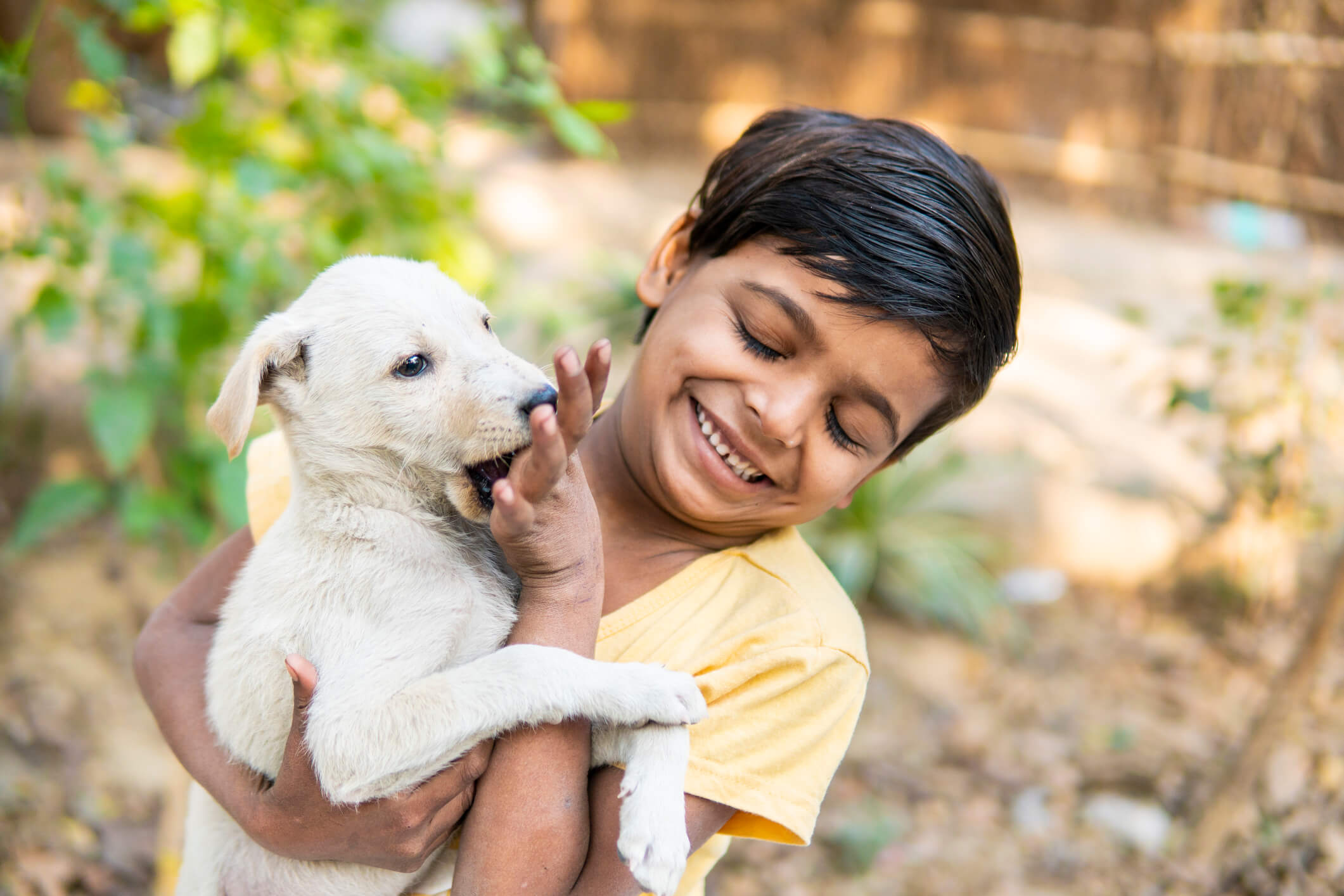 little girl playing with stray puppy