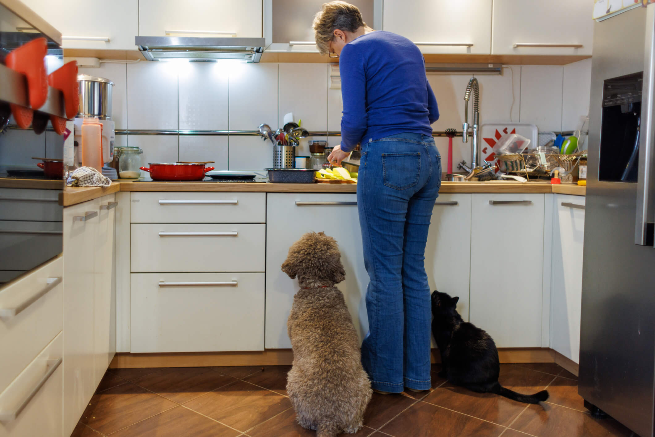 Woman Preparing Food And Dog Keeping Her Company