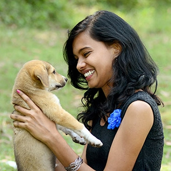 Image of dog