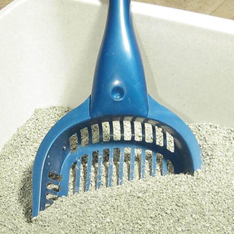 image of litterbox