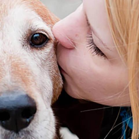 Image of dog with woman