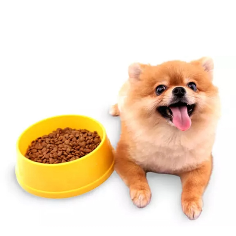 Image of dog