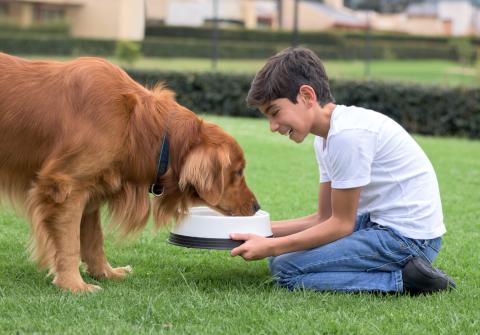 Boy giving food to his dog