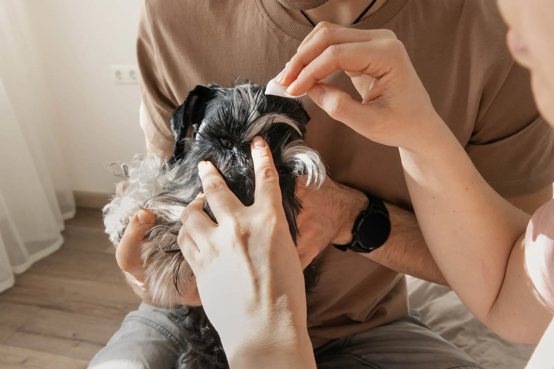 A man and women holding the dog and treating him
