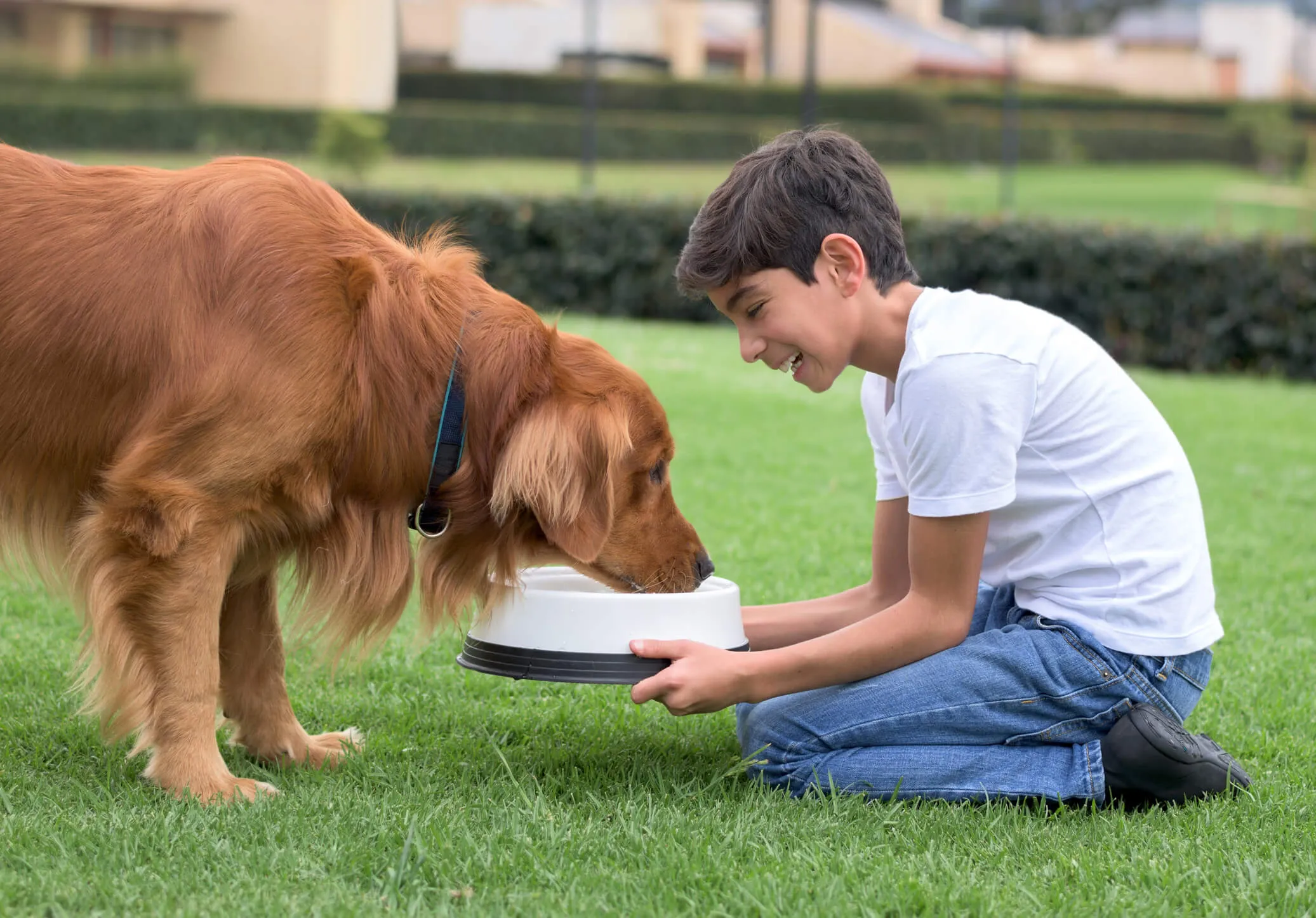 Boy giving food to his dog