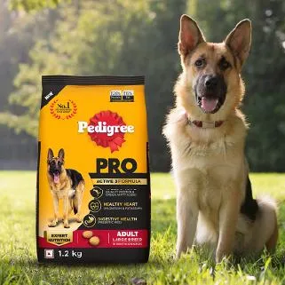 Adult Dog