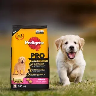 Puppy Dog