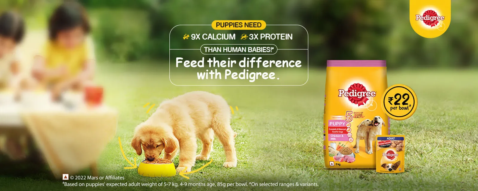 Dog Nutrition Hero