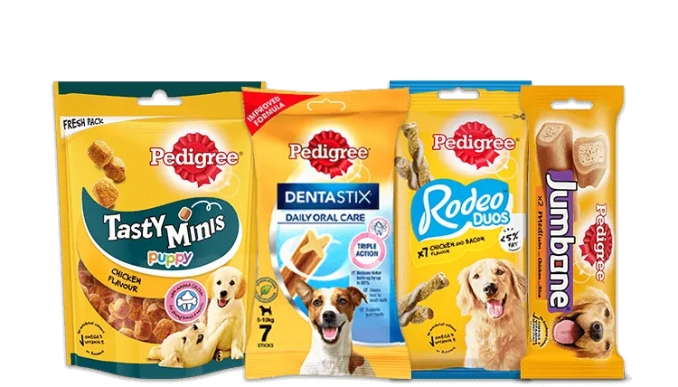 dog-treat