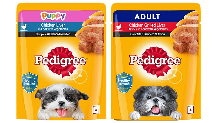 dog-wet-food