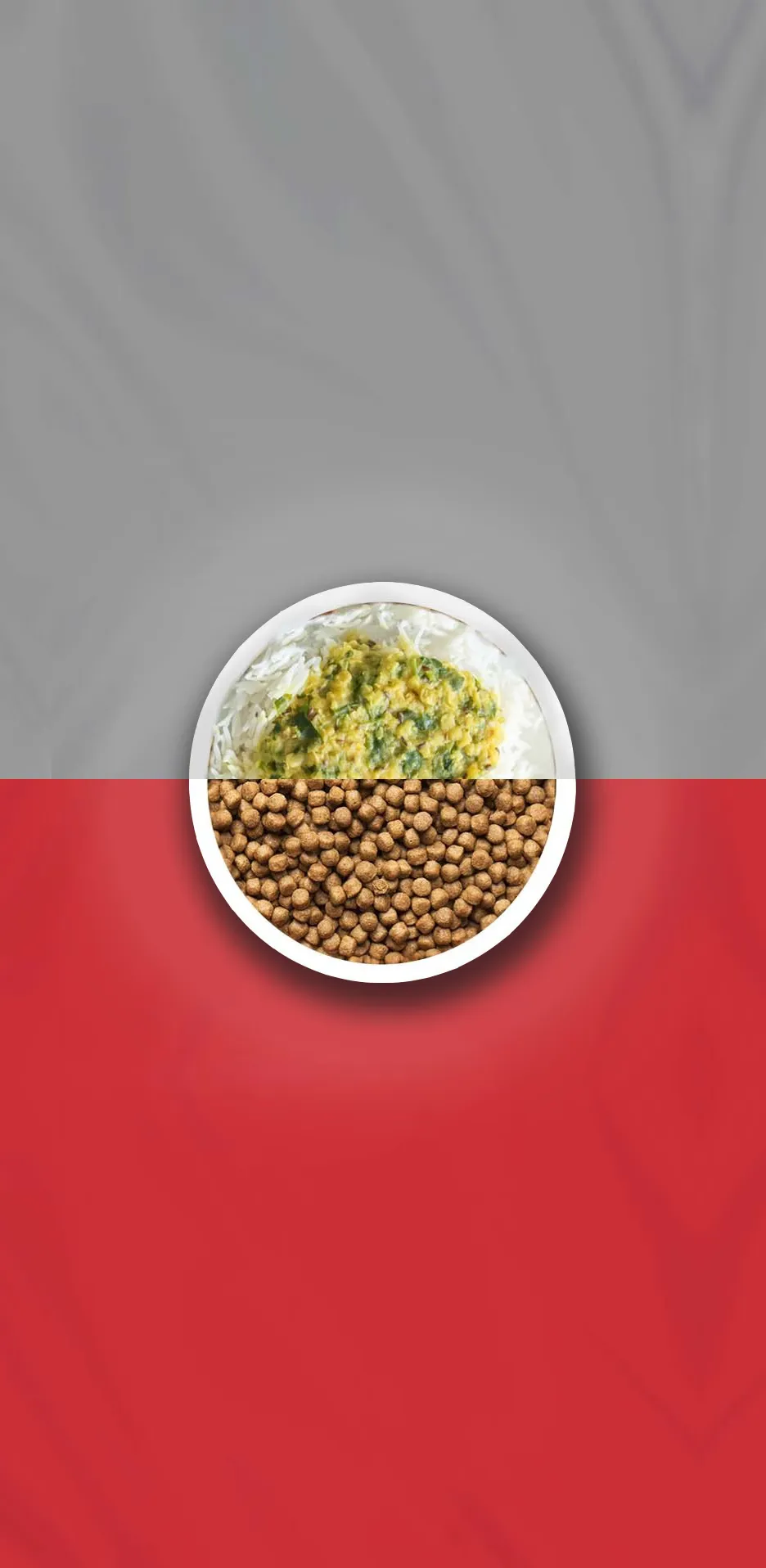 dog-nutrition