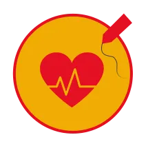 the-five-point-health-check-for-dogs